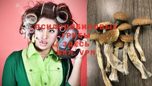 прущие крисы Вязьма